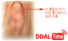 클리토리스 애무 완전정복 1탄 이미지 #4