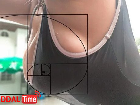 황금비율을 인정 할 수밖에 없는 이유 이미지 #1