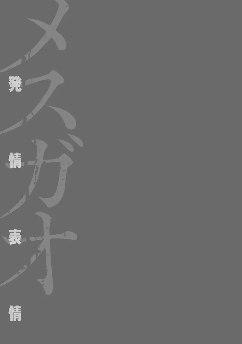 17477475663011.webp