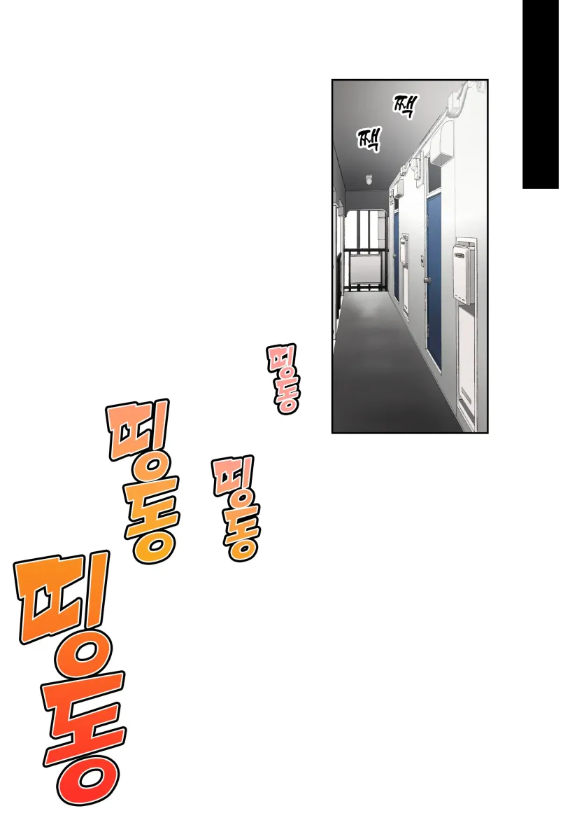 17477601353951.webp