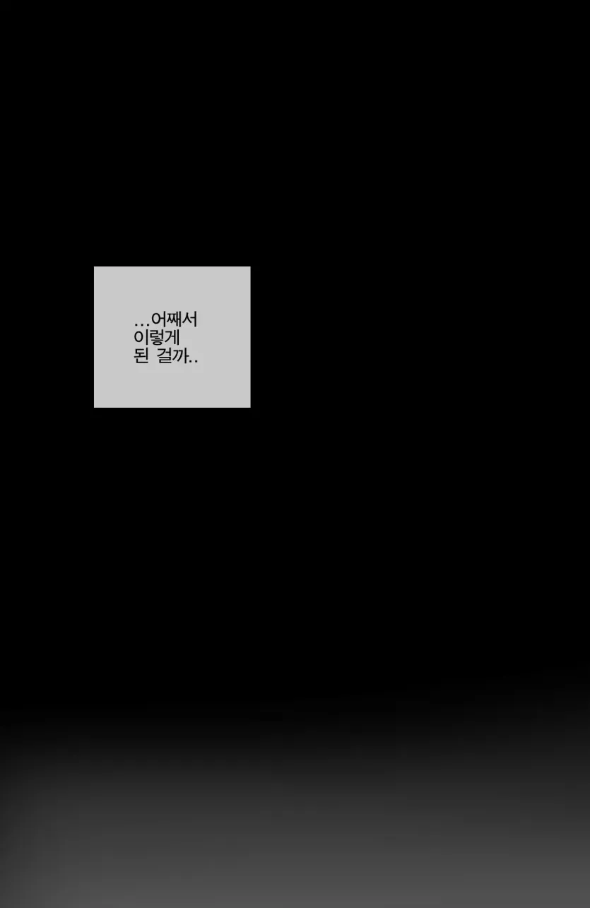 17477601725063.webp