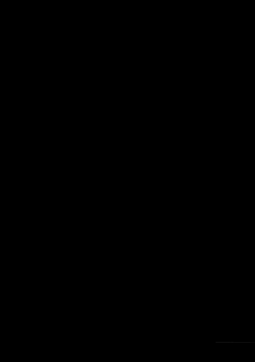 17477616365178.webp