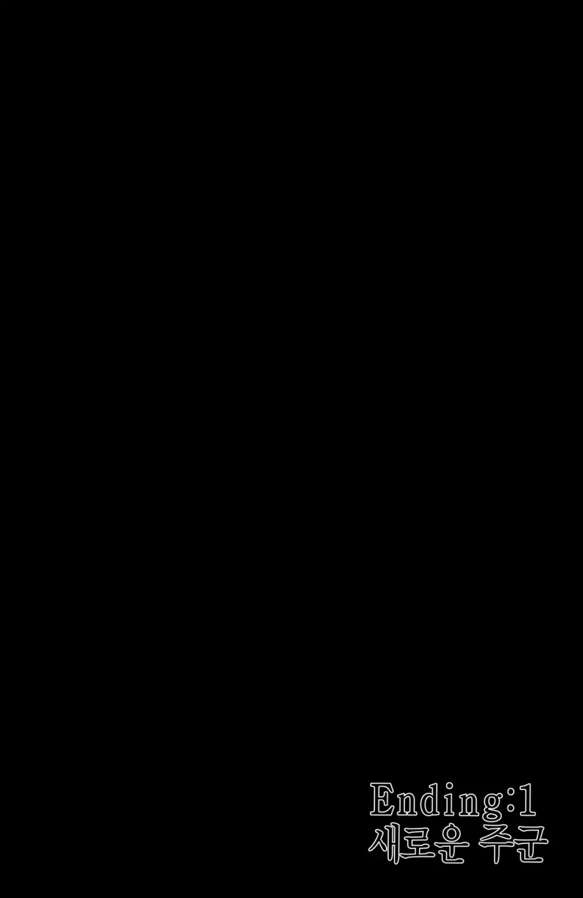 17477622068738.webp