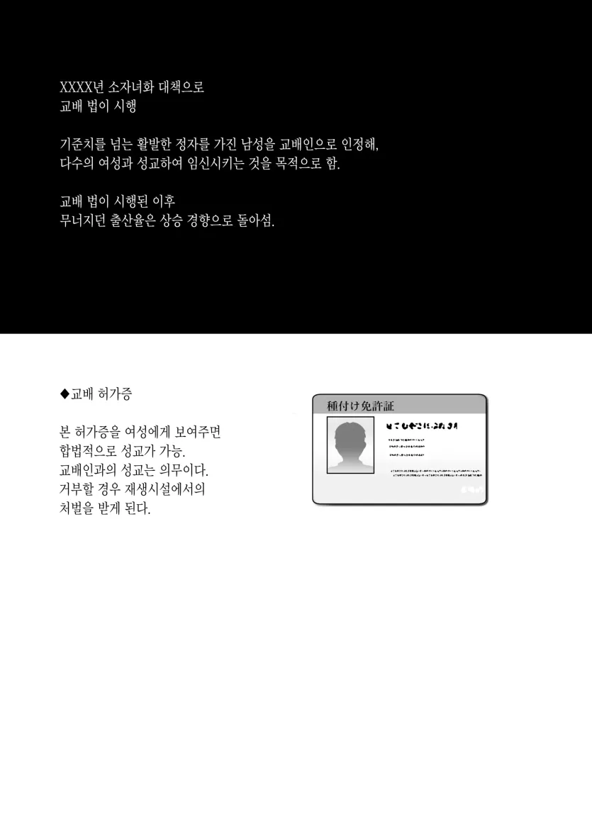 17479877892177.webp