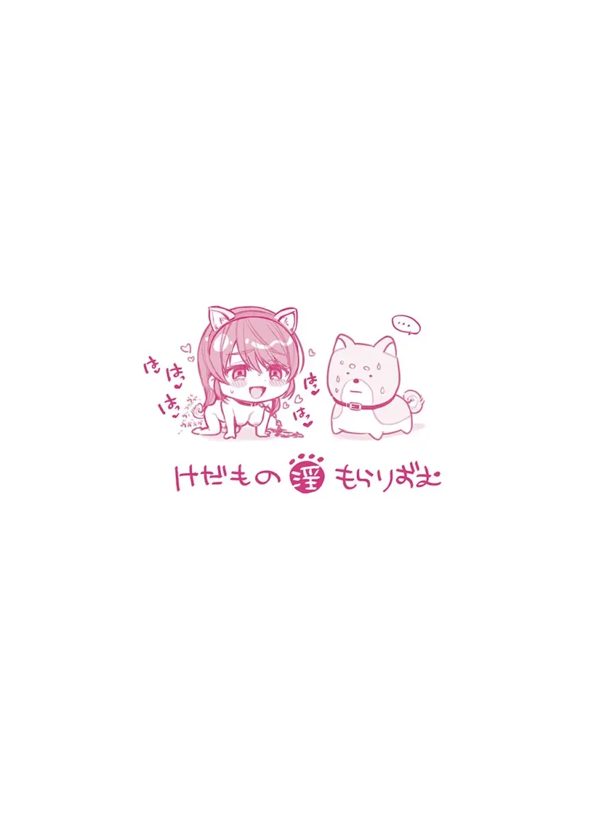 17479879942281.webp