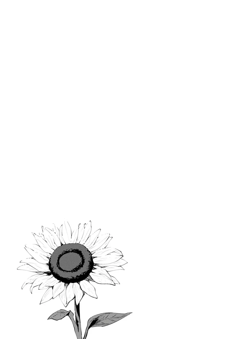 17483169219991.webp